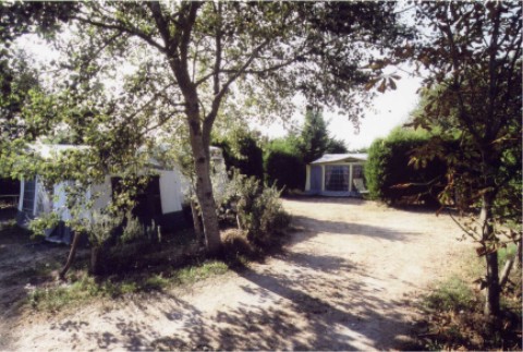 wempl05.jpg